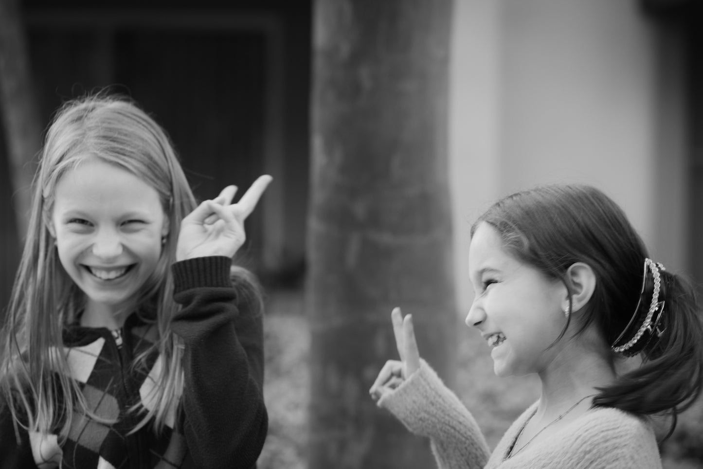 5644 × 3763 ID10187